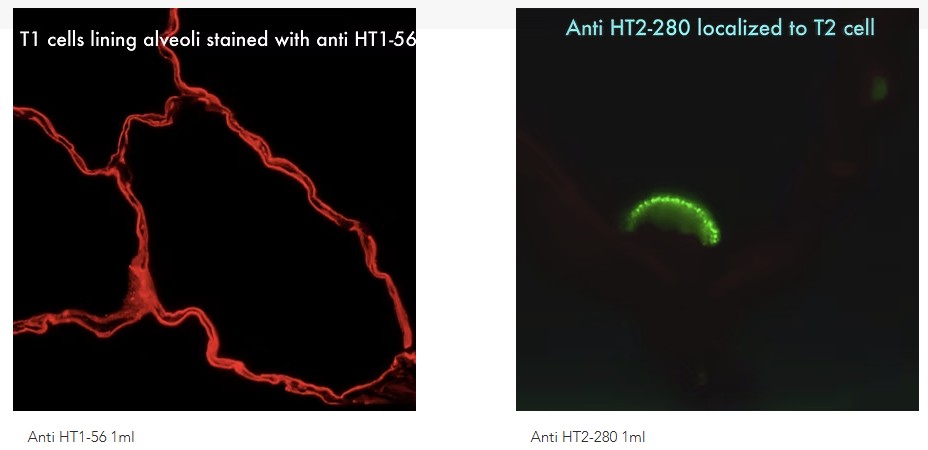 Terrace Biotech를 대표하는 이미지