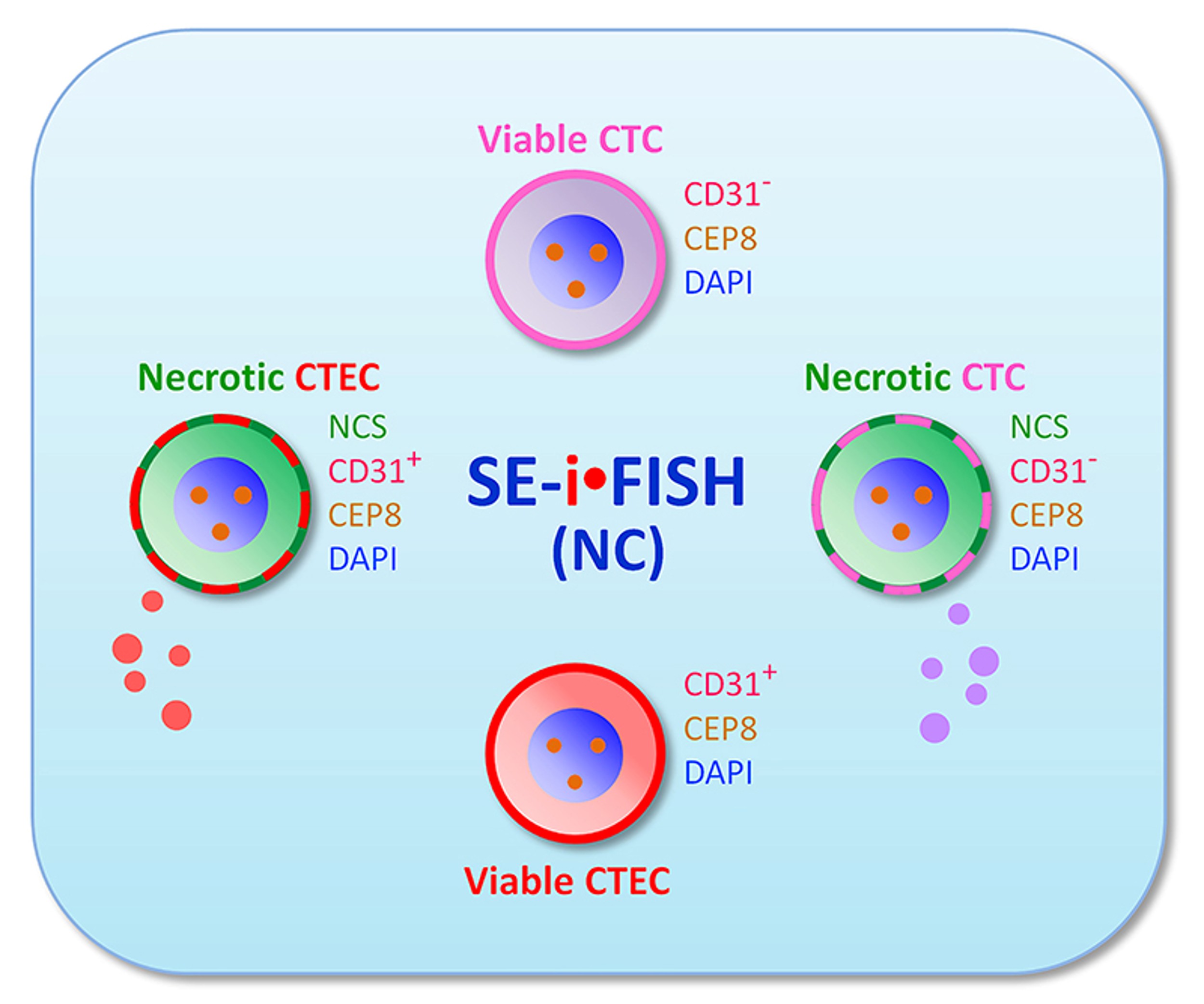 Subtraction Enrichment (SE) Products for Mouse Samples