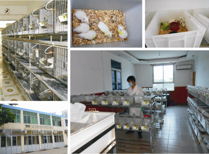 Cloud-clone 사료 공급 시설