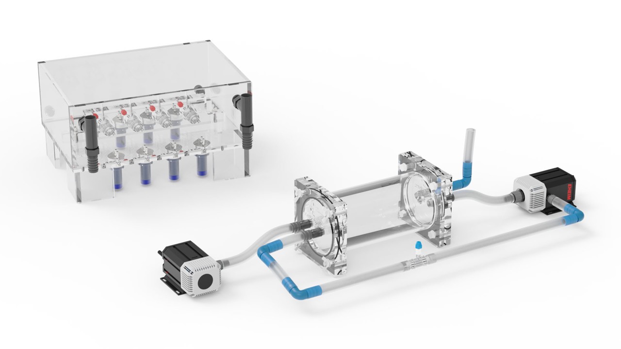 Core resting respirometry system