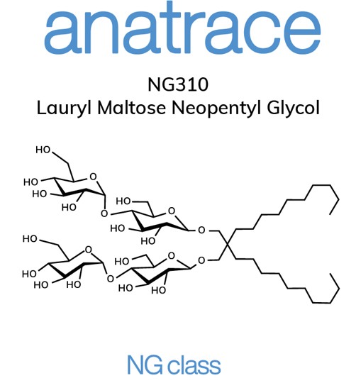 NG310 - Lauryl Maltose Neopentyl Glycol