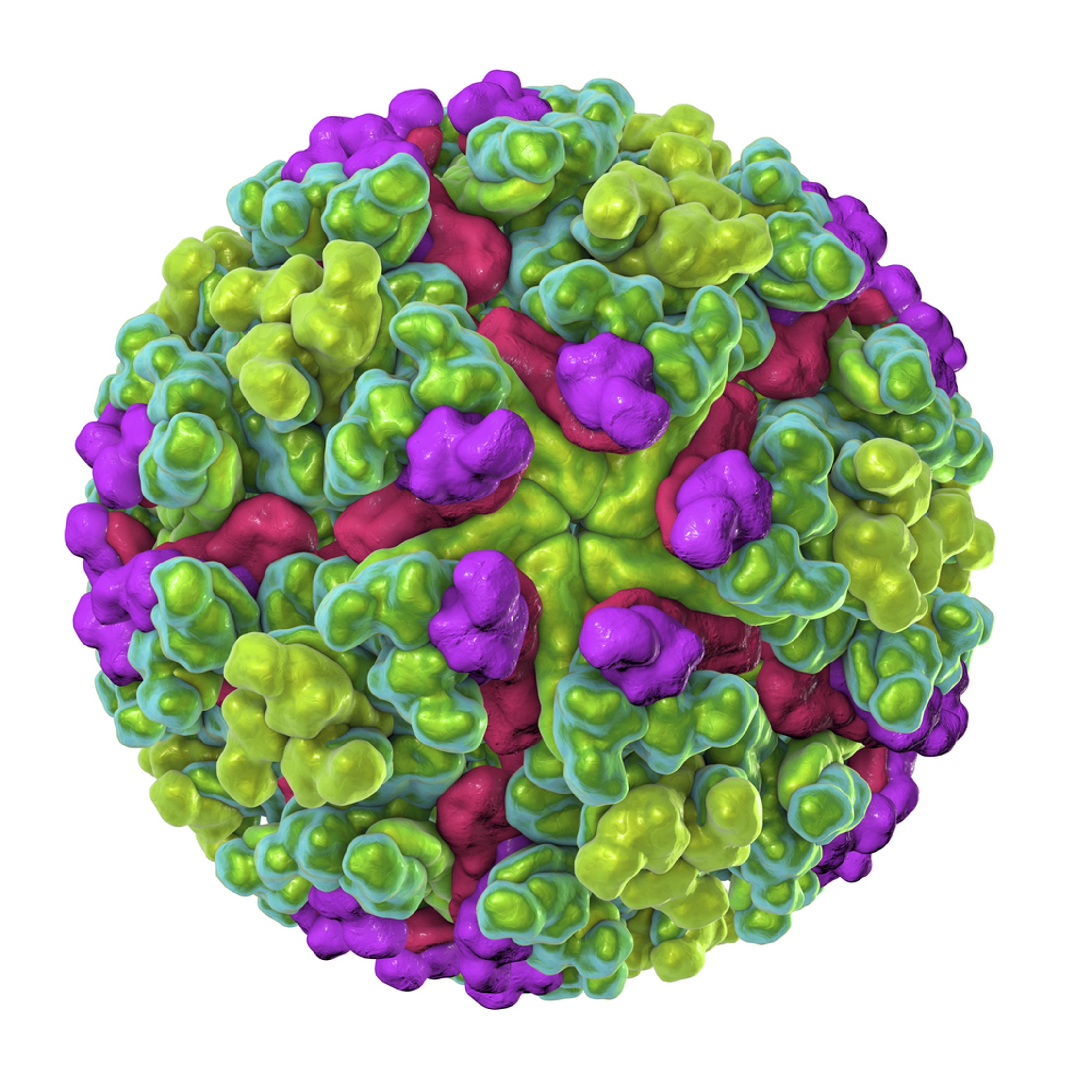 Chikungunya Virus VLP