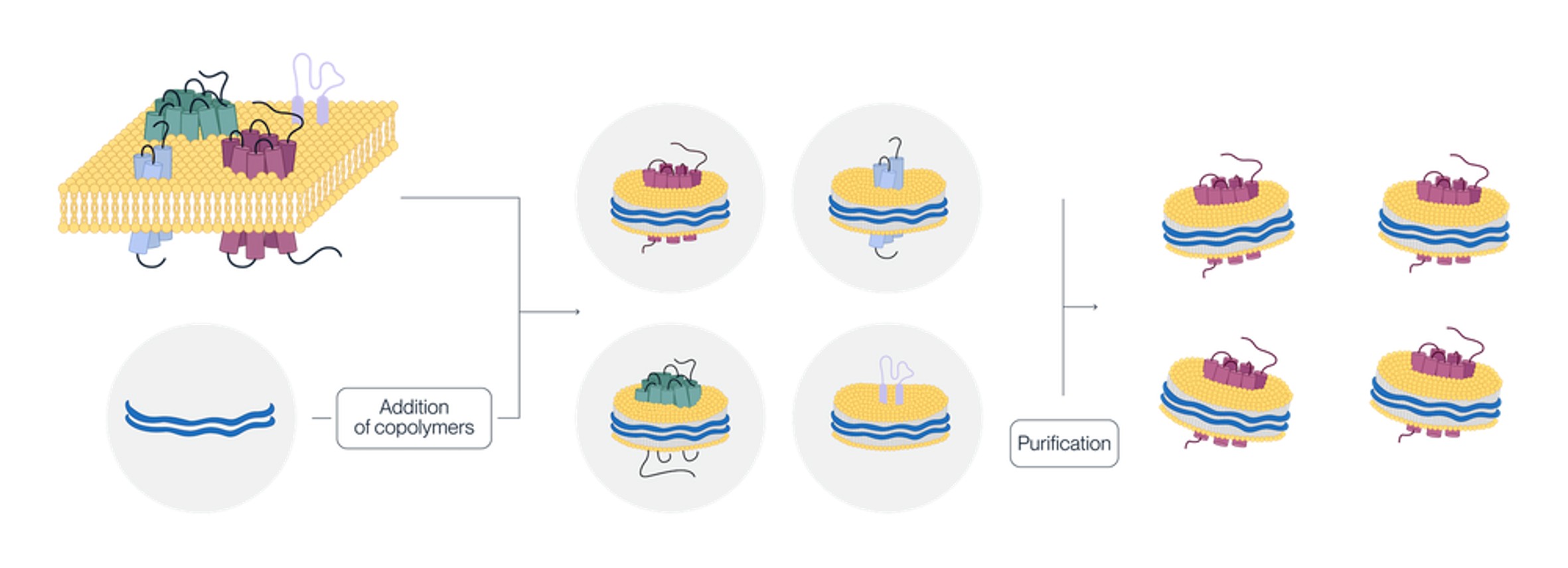 Kactus 공식대리점 관련 업무대행/수입 전문취급점