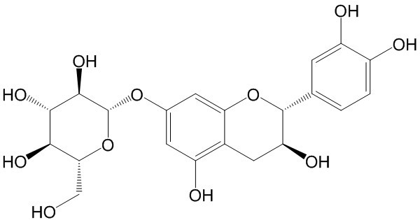 [ChemNorm 한국공식대리점] Catechin7-O-β-D-glucopyranoside