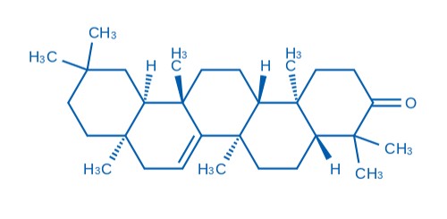 (4aS,6aS,6aR,8aR,12aS,14aS,14bS)-4,4,6a,6a,8a,11,11,14b-octamethyl-2,4 a,5,6,8,9,10,12,12a,13,14,14a-dodecahydro-1H-picen-3-one의 분자 구조식
