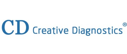 Anti-human beta Amyloid 42 (aa 1-5) monoclonal antibody