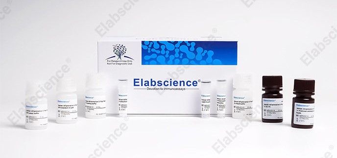 EcoPlex™ Human Inflammation 6-Plex Panel Kit