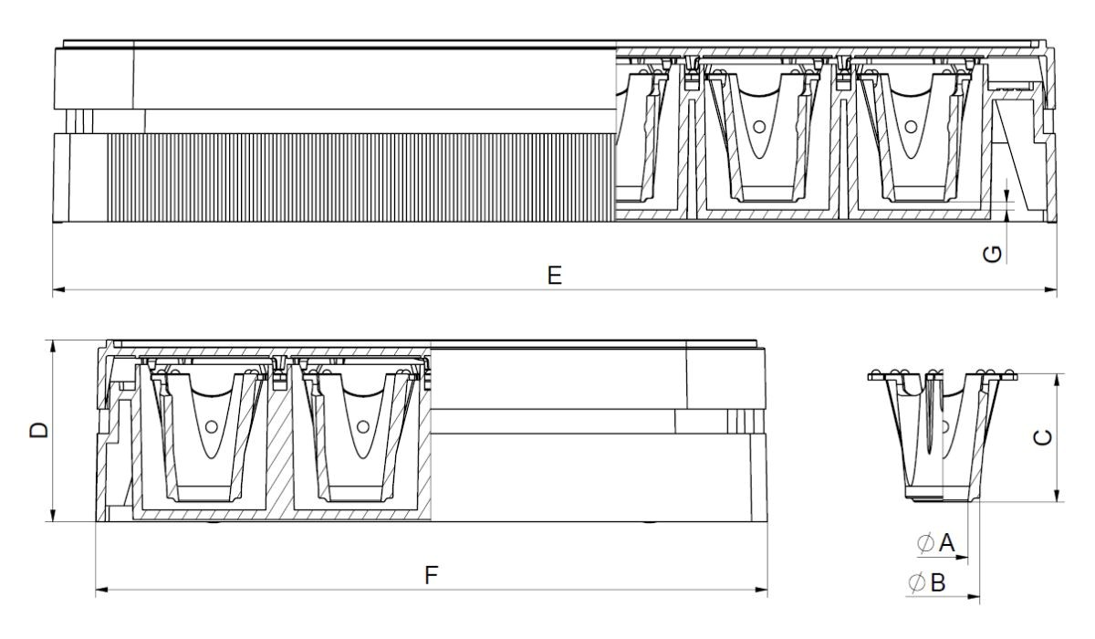 6-Well Plate 0.4 µm PET translucent (FP)