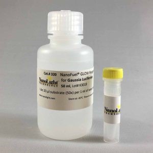 GLuc GLOW Assay