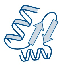 Lipase Protein- Propionibacterium Acnes LIPASE Recombinant Protein