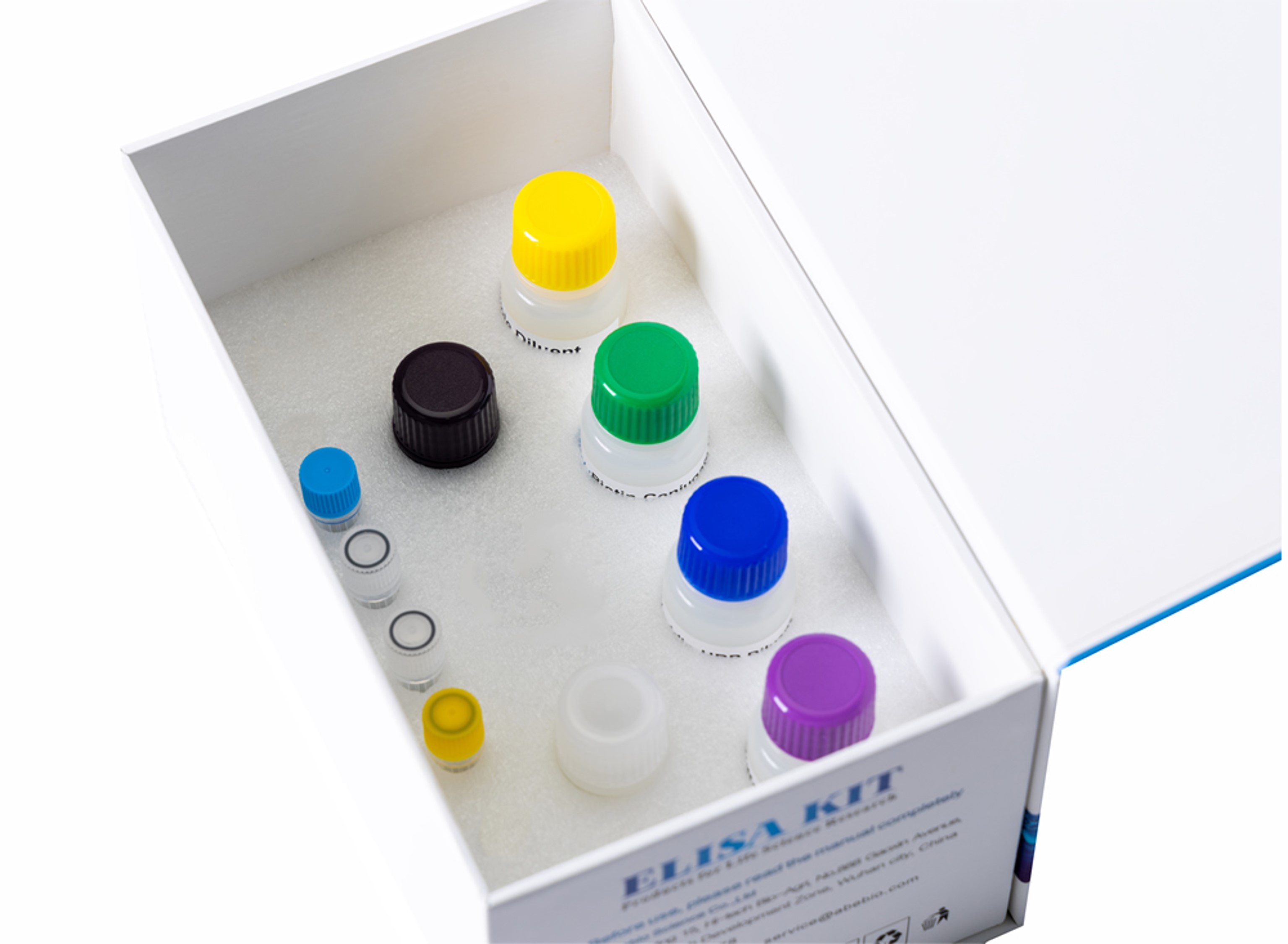 Monkey SPARC-related modular calcium-binding protein 1 (SMOC1) ELISA Kit