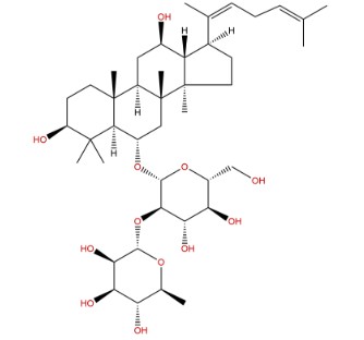 [Biopurify 한국공식대리점] Ginsenoside Rg4