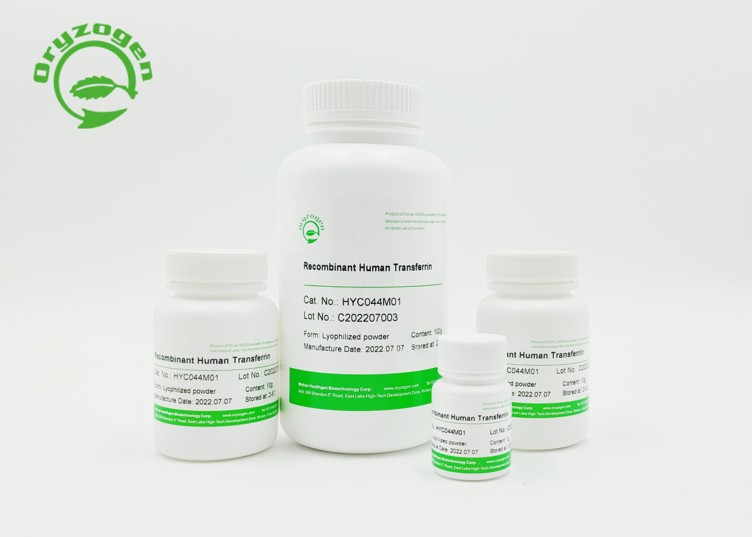 OsrhTF | Recombinant Human Transferrin