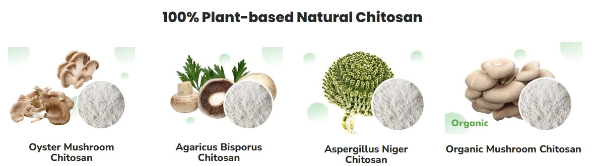 ChiBio Biotech 한국공식대리점