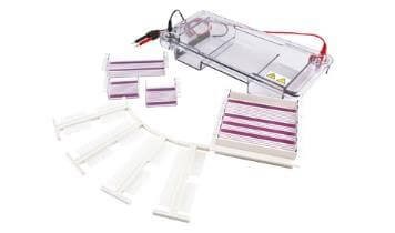 CreGen™ Horizontal Electrophoresis CG-SPDT