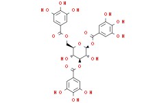Alfa biotechnology 한국공식대리점