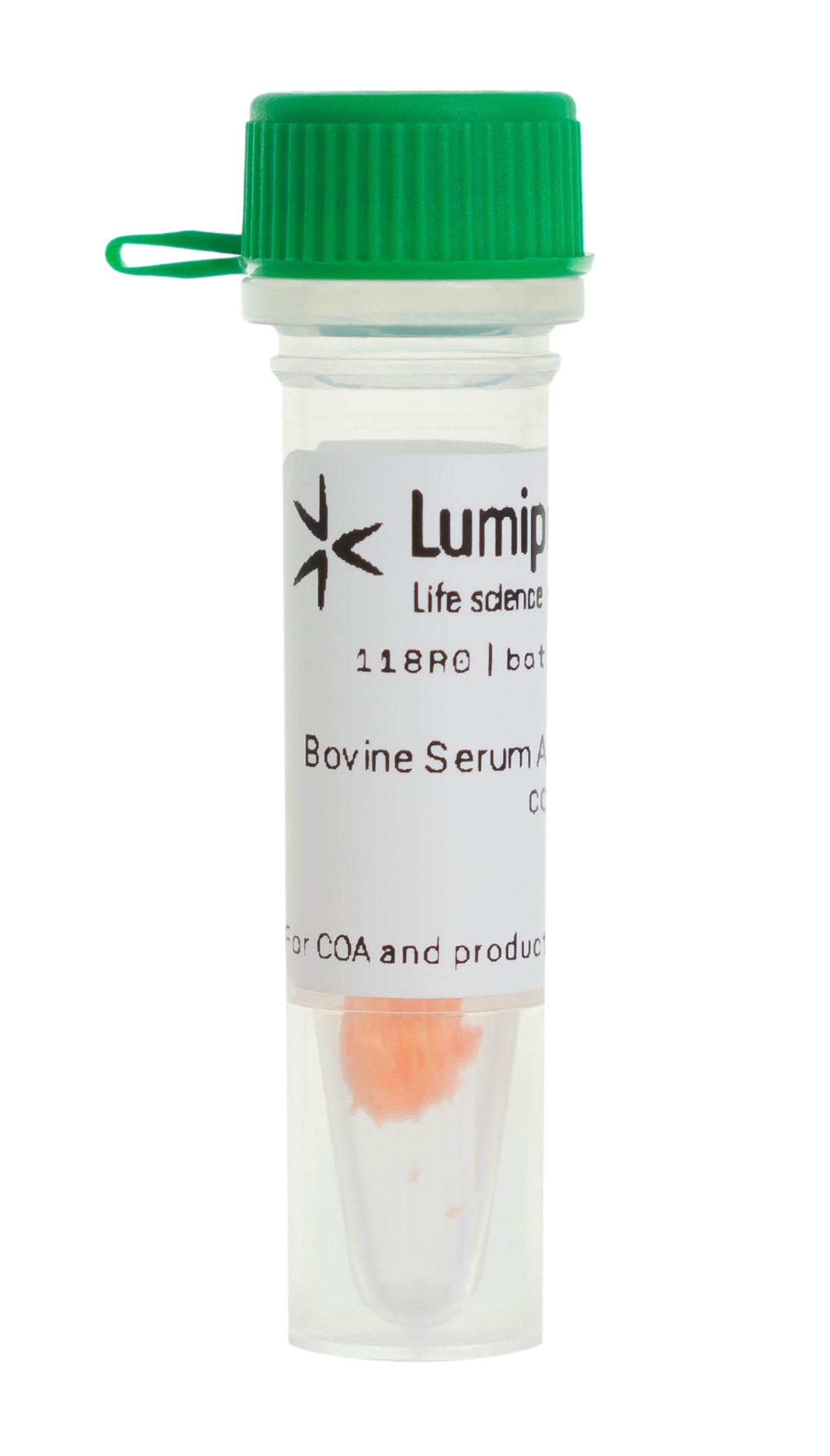 Bovine Serum Albumin (BSA), AF 488 conjugate