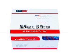 Beta-Conglycinin ELISA Kit