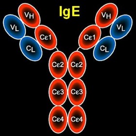 Human Immunoglobulin E (hIgE)
