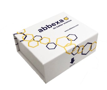 Botulinum Neurotoxin Type A (botA) Antibody (HRP)