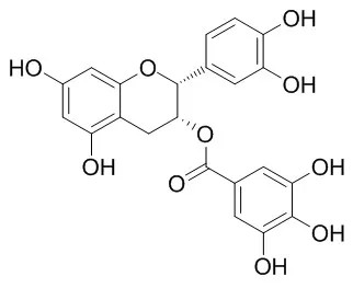 (-)-Epicatechin gallate의 분자 구조식
