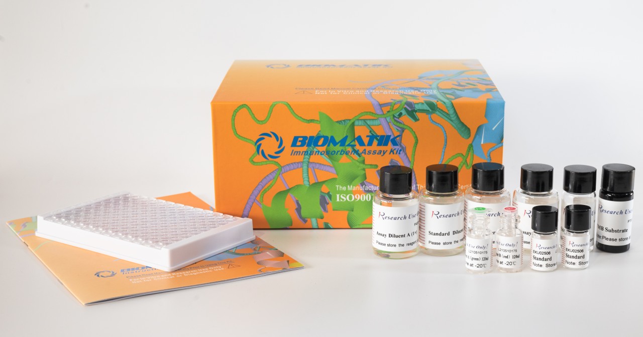 [Biomatik 한국공식대리점] HSD11b1