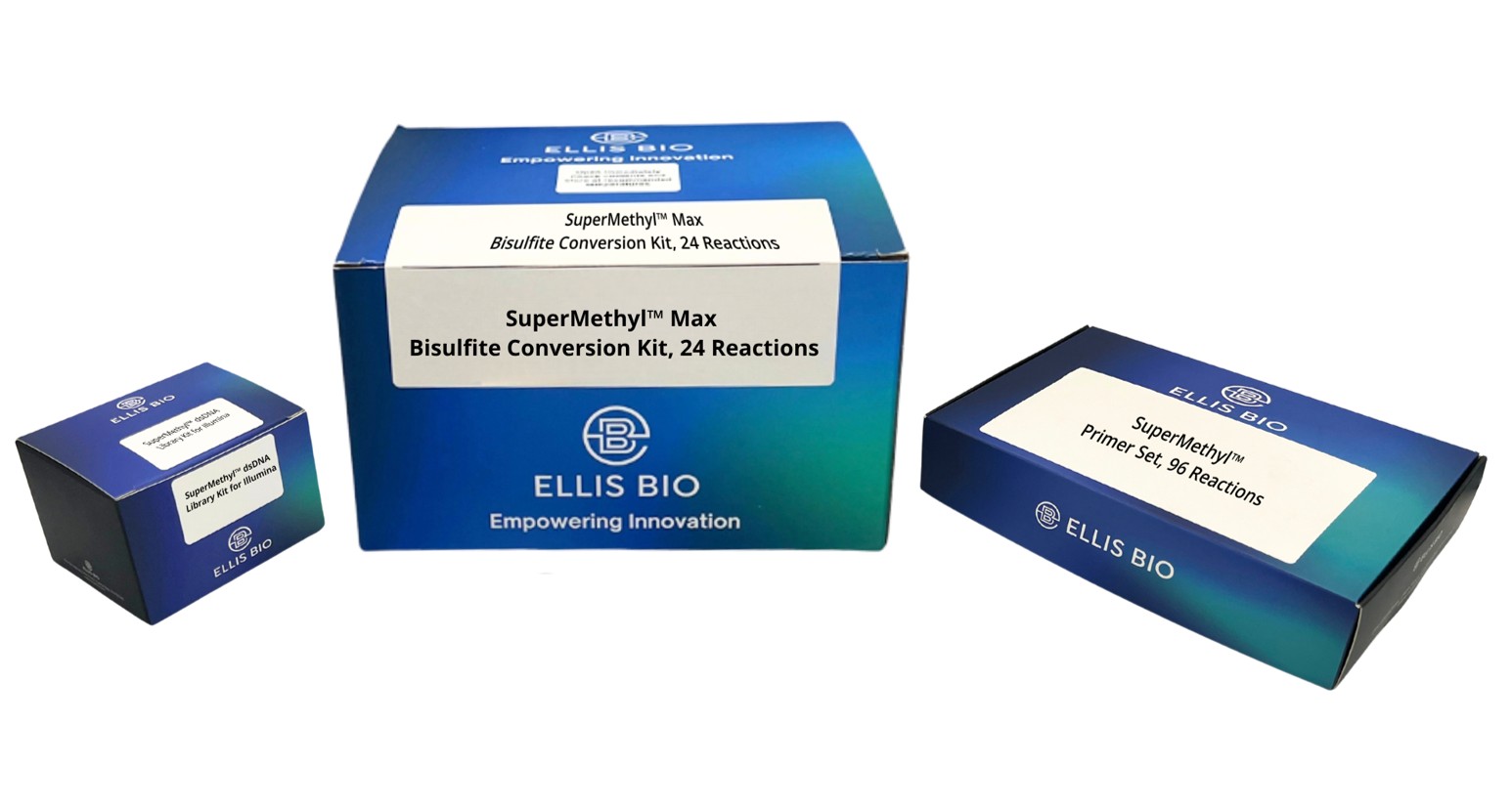 SuperMethyl™ Max All-in-One System