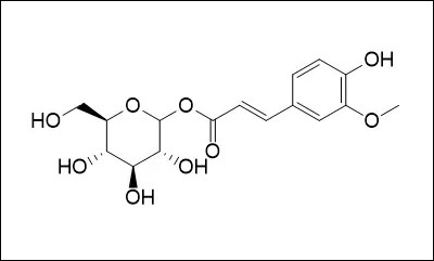 Natural Products의 	1-O-Feruloylglucose 분자구조식