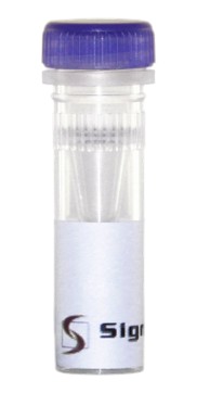 CAS System Nucleic Acid Detection Test Strip