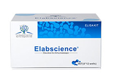 Elabscience의 ELISA KIT