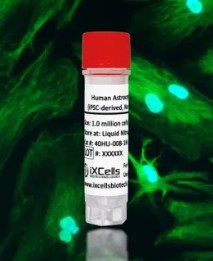 iXCells Biotechnologies 공식대리점 관련 업무대행/수입 전문 취급점