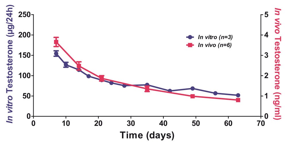 T-R - testosterone 60 days