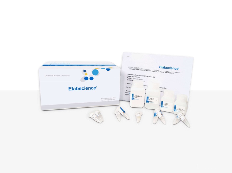 Free Fatty Acids (NEFA/FFA) Fluorometric Assay Kit