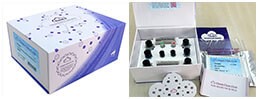 ELISA Kit for Proopiomelanocortin (POMC)