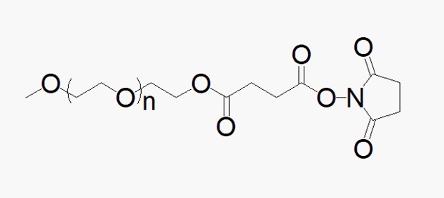 Methoxy PEG Succinimidyl Succinate