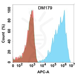 Anti-CLDN18.2 antibody(DM179); Rabbit mAb