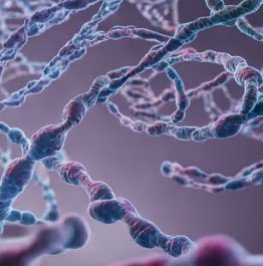 Gene Synthesis