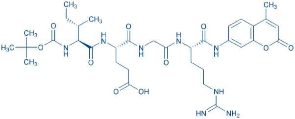 bachem 한국공식대리점