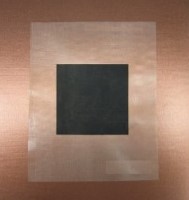 Direct Methanol Fuel Cell MEA - 3 Layer