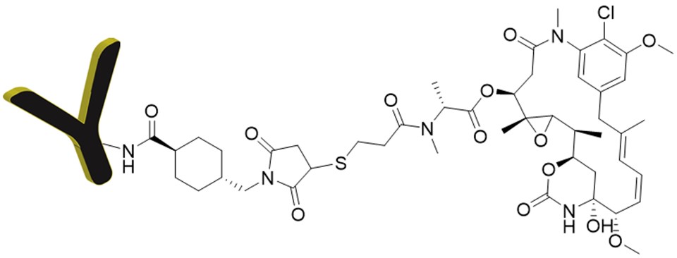 Antibody Mertansine (DM1) Conjugation Kit