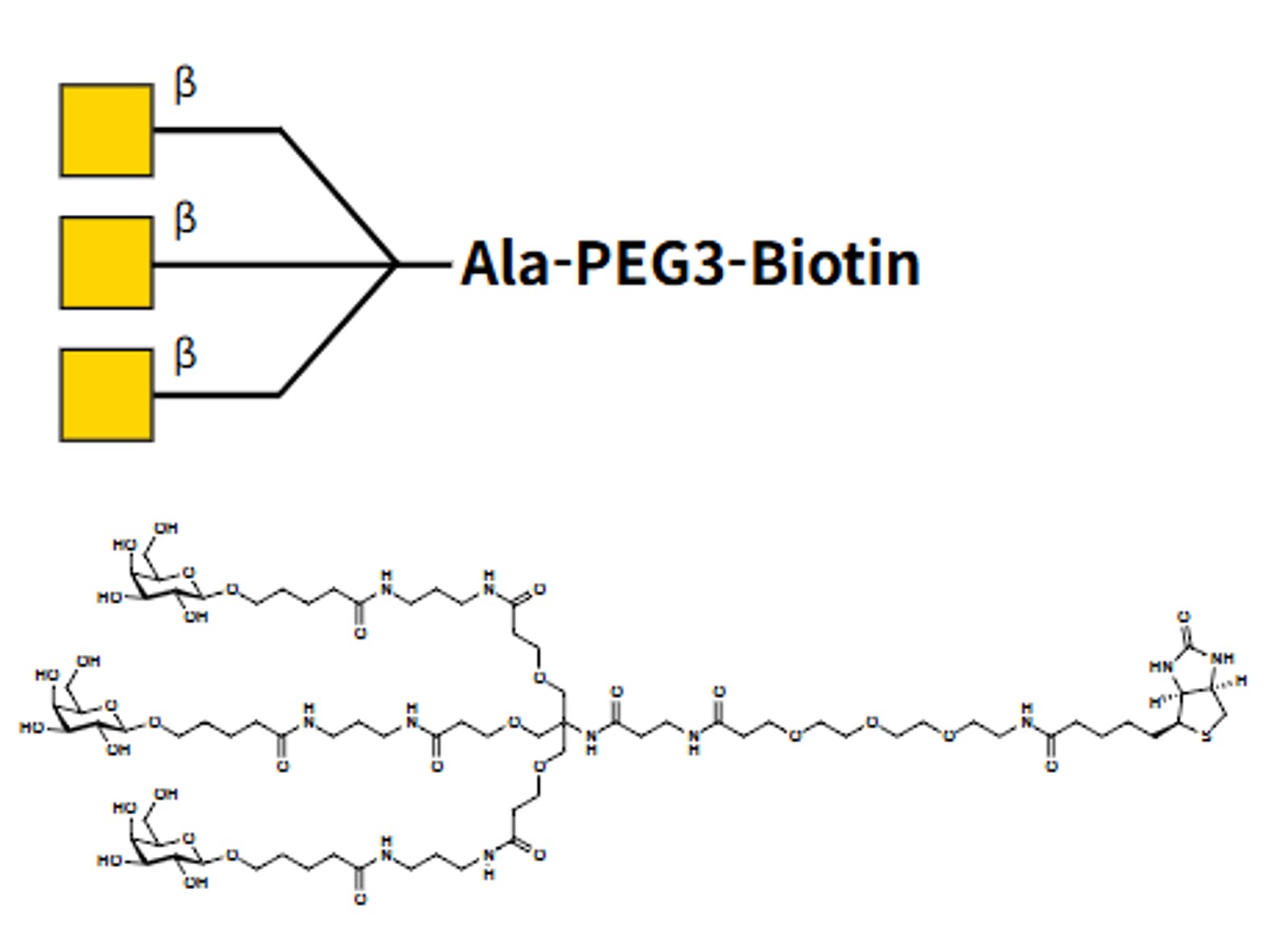Triantennary GalNAc-β-Alanine-PEG3-Biotin