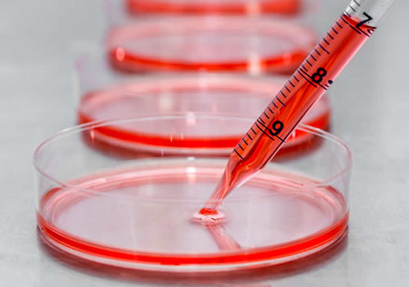 USBIO 한국공식대리점 Accurus Biosciences Hot Item 1