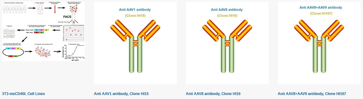 Humimmu를 대표하는 이미지
