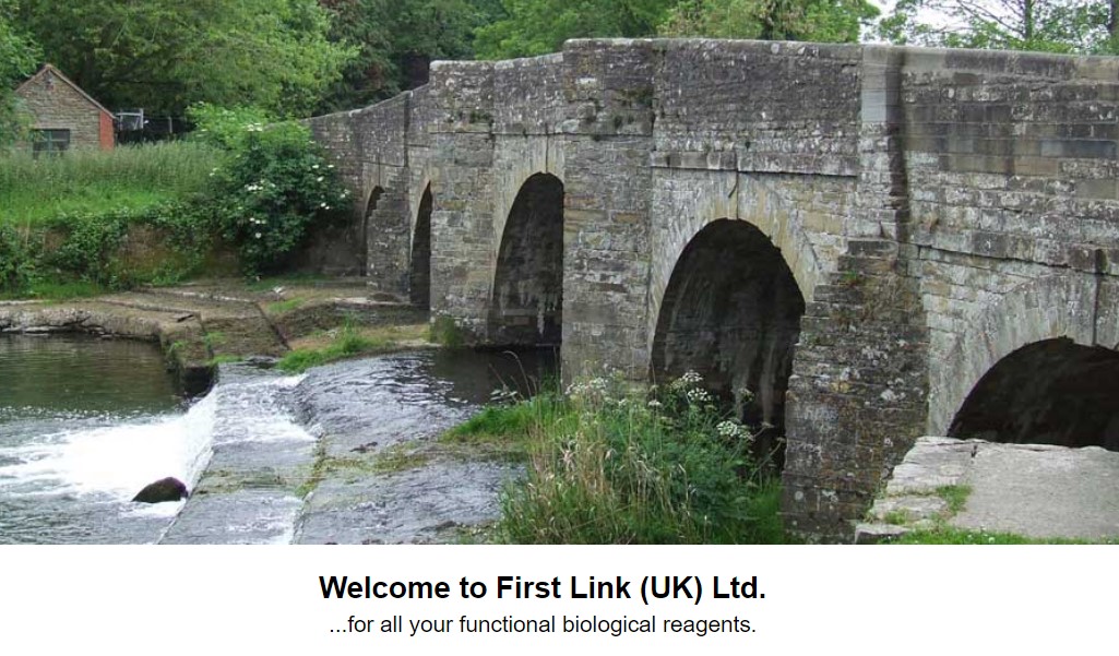 First Link를 대표하는 이미지