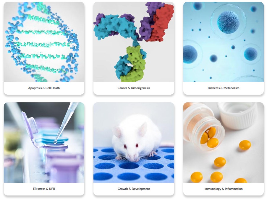CD BioSciences를 대표하는 이미지