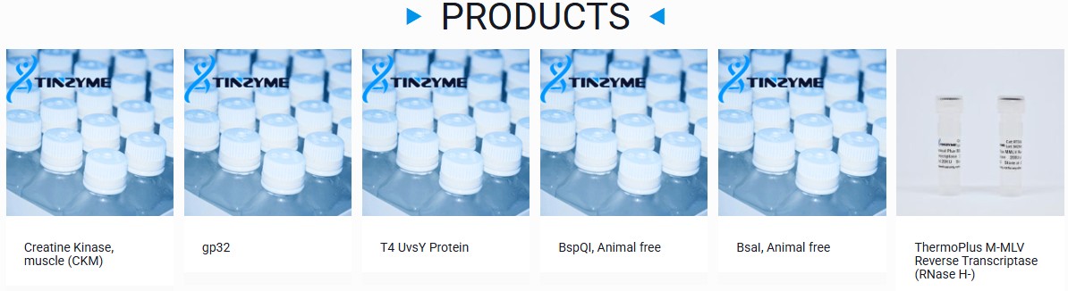 Tinzyme를 대표하는 이미지
