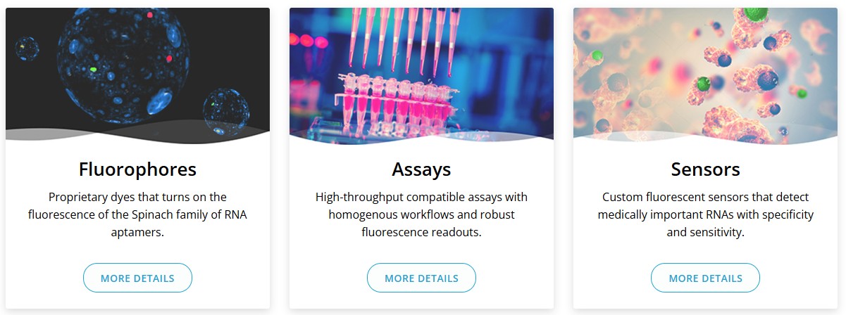 Lucerna를 대표하는 이미지