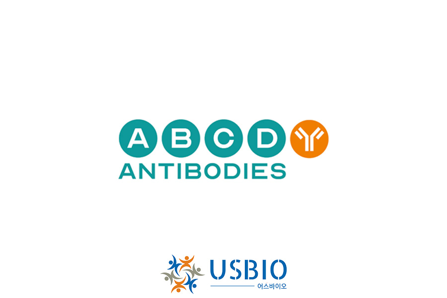 [ABCD Antibodies] Anti-alpha Tubulin antibody | ABCD_AA345