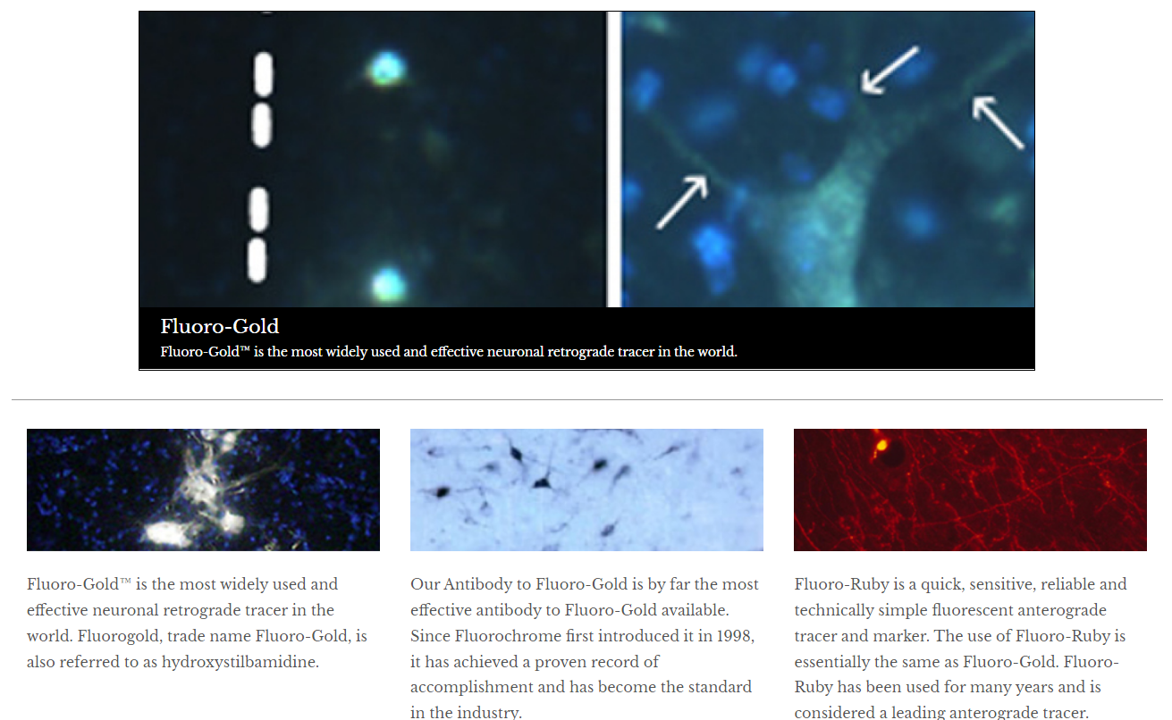 Fluorochrome를 대표하는 이미지