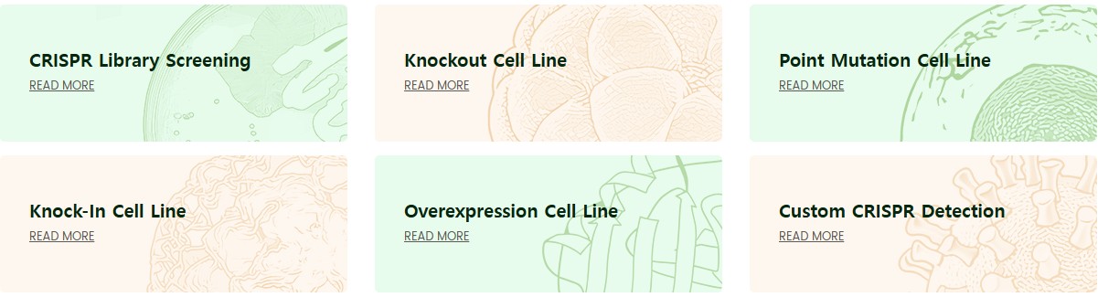 EDITGENE를 대표하는 이미지